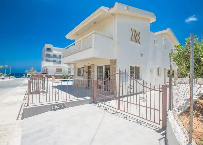 Delfini 普罗塔拉斯